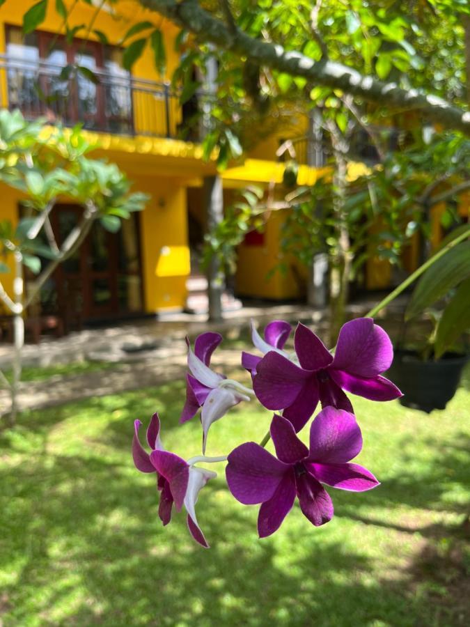 Easy Living Hotel Hikkaduwa Bagian luar foto
