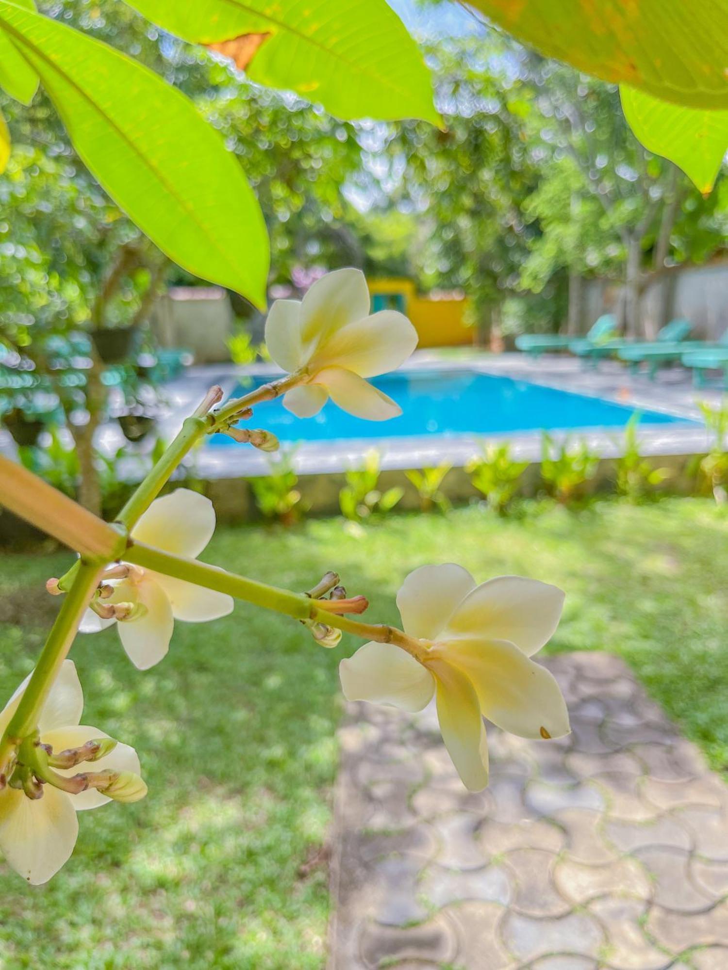Easy Living Hotel Hikkaduwa Bagian luar foto